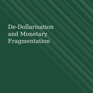 De-Dollarisation and Monetary Fragmentation